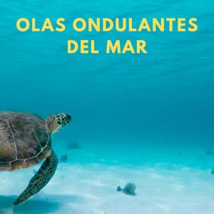 Olas Ondulantes Del Mar - Reina del Mar