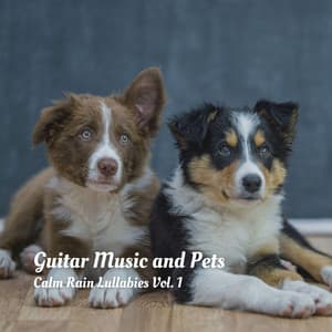 Guitar Music and Pets: Calm Rain Lullabies Vol. 1 - Liquid Planet Recordings