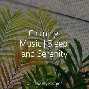 Calming Music | Sleep and Serenity - Meditação Yoga