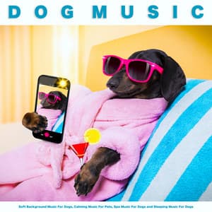 Dog Music: Soft Background Music For Dogs, Calming Music For Pets, Spa Music For Dogs and Sleeping Music For Dogs - Dog Music