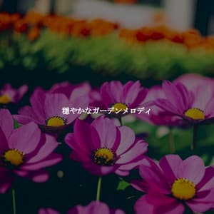 穏やかなガーデンメロディ - Jazzy Mornings