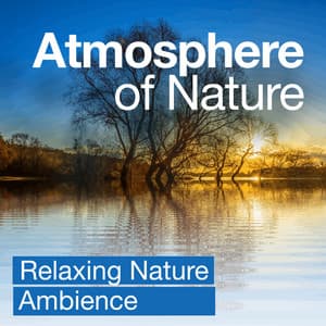 Atmosphere of Nature - Relaxing Nature Ambience