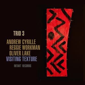 Visiting Texture - Trio 3
