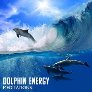 Dolphin Energy Meditations: Healing Songs, Relaxing Piano Music, Nature Therapy, Heart Chakra - Natural Therapy Music Academy