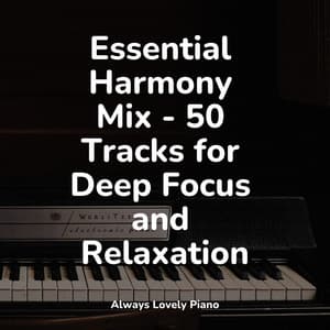 50 Calm Piano Songs for Reading - Romantic Piano Music