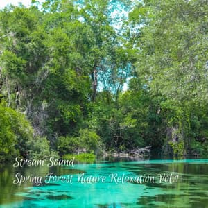 Stream Sound: Spring Forest Nature Relaxation Vol. 1 - Relaxing Music Playlist