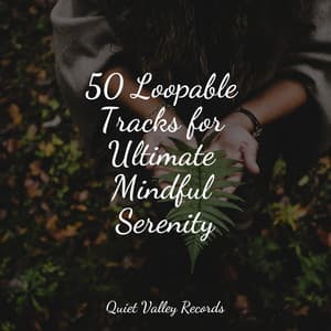 50 Loopable Tracks for Ultimate Mindful Serenity - Ocean Sounds