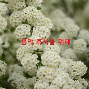 음악 휴식을 위해 - Zen Meditation