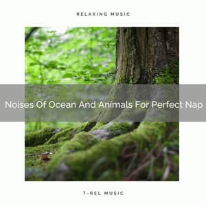Noises Of Ocean And Animals For Perfect Nap - Sleep Dimension