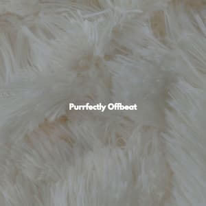 Purrfectly Offbeat - Light New Orleans Jazz