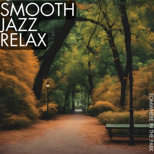 Somewhere in the Park - Smooth Group Inc