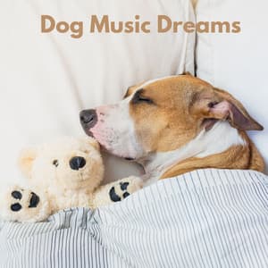 Dog Music Dreams - Music for Calming Dogs