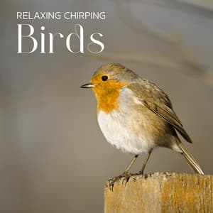 Relaxing Chirping Birds: Gentle Instrumental Music with Nature - Healing Music Empire