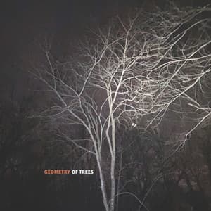 Geometry of Trees - Tomeka Reid