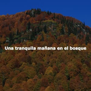 Una tranquila mañana en el bosque - Cooking Music Chill