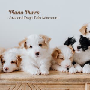Piano Purrs: Jazz and Dogs' Pals Adventure - One Audience Piano