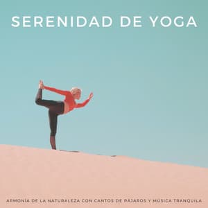 Serenidad De Yoga: Armonía De La Naturaleza Con Cantos De Pájaros Y Música Tranquila - Pájaros en la televisión