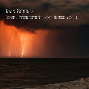 Rain Sound: Sleep Better with Thunder Sound Vol. 1 - Sleep Music Guys
