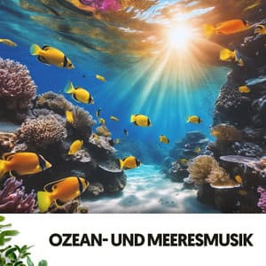 Ozean- und Meeresmusik: Lieder der blauen Tiefe - Ruido Blanco Hart