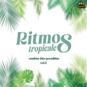 Cumbias Bien Prendidas Vol. 5 - Ritmos Tropicales