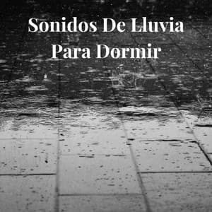 Sonidos de Lluvia para Dormir - Sonidos de la Naturaleza Relax