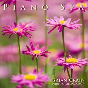 Piano Spa Music - 1 Hour Music