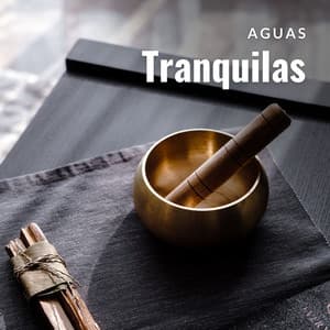 Aguas Tranquilas: Música de Masaje - Cuencos Tibetanos