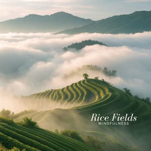 Rice Fields Mindfulness - Tashi Bamboo