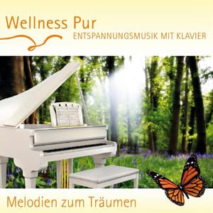 Entspannungsmusik mit Klavier - Wellness Pur