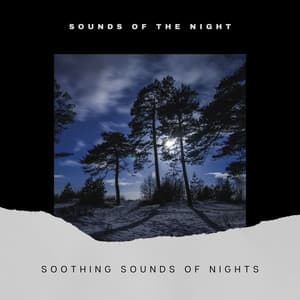 Soothing Sounds of Nights - Sounds of the Night