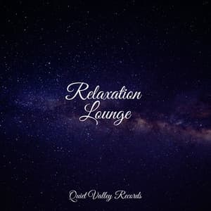 Relaxation Lounge - Relaxation Sleep Meditation