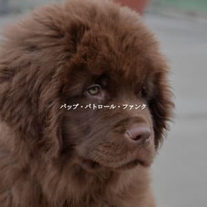 パップ・パトロール・ファンク - Office Background Music