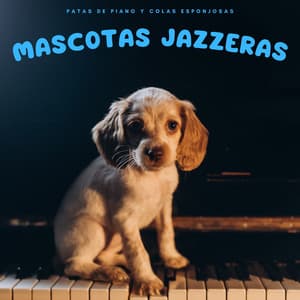Mascotas Jazzeras: Patas De Piano Y Colas Esponjosas - Musicoterapia con mascotas
