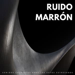 Ruido Marrón: Sonidos Calmantes Para Los Gatos Estresados - Terapia de ruido marrón