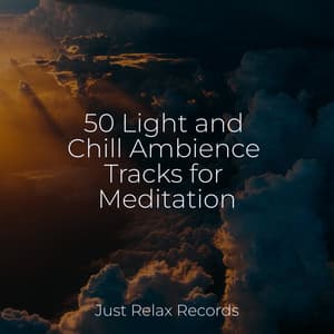 50 Light and Chill Ambience Tracks for Meditation - Study Hard