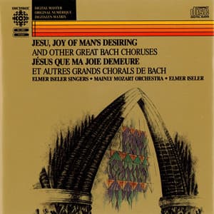 Bach, J.S.: Excerpts From the Cantatas - Johann Sebastian Bach