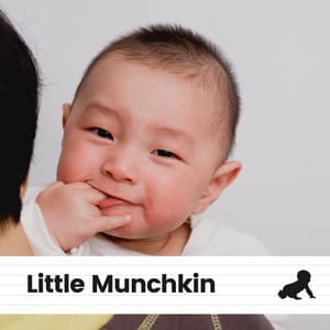 Little Munchkin - Canciones Infantiles