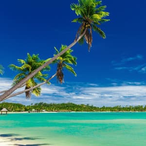 Oceanic Euphoria: Relaxation by the Sea - Restorative Ocean Music