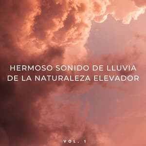 Hermoso Sonido De Lluvia De La Naturaleza Elevador Vol. 1 - Lluvia en España