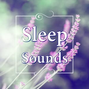 Sleep Sounds – Long Sleeping Songs to Help You Relax at Night, Healing Through Sound, Healing Touch, New Age Music and Nature Sounds for Stress Relief, Total Relax - Stages of Sleep Music Universe
