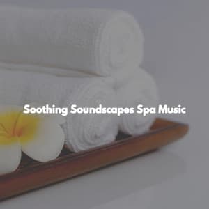 Soothing Soundscapes Spa Music - Deep Sleep Music Therapy