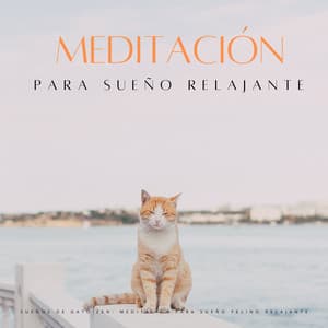 Sueños De Gato Zen: Meditación Para Sueño Felino Relajante - Piano de salón suave