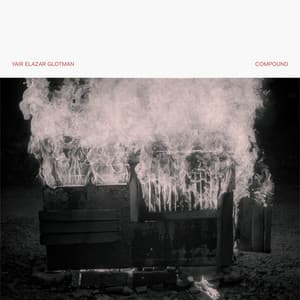 Compound - Yair Elazar Glotman