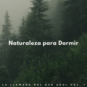 Naturaleza Para Dormir: La Llamada Del Ave Azul Vol. 1 - Fondos de sonidos de la naturaleza