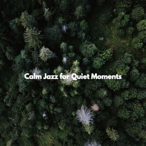 Calm Jazz for Quiet Moments - Bossa Lounge Deluxe