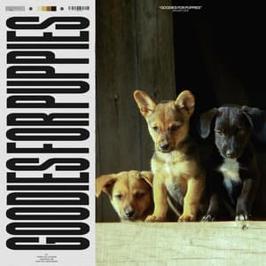 Goodies for Puppies - Official Pet Care Collection