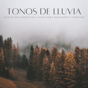 Tonos De Lluvia: Música Relajante De Lluvia Para Relajarte Y Meditar - Sonido de lluvia