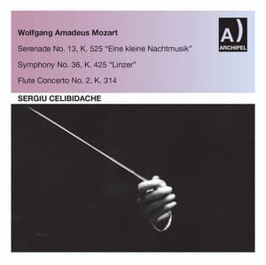 Mozart: Orchestral Works - Wolfgang Amadeus Mozart