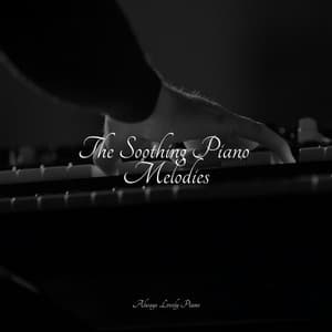 Massage Meditations - Mozart Lullabies Baby Lullaby