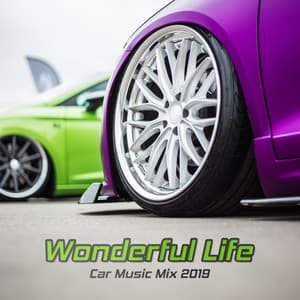 Wonderful Life: Car Music Mix 2019 - Best Electro House, Party Dance, Summer Cocktail - Tropical Chill Paradise